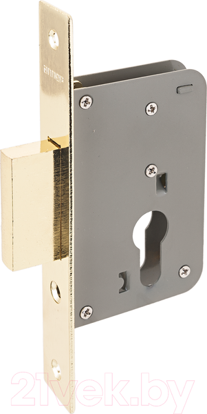 Изображение товара Замок врезной Аллюр 6040 РВ (золото)