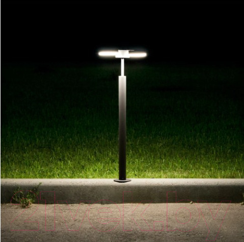 Изображение товара Светильник уличный Citilux CLU03B2