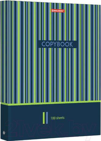 Изображение товара Тетрадь Brauberg Полосы / 403273 (100л)