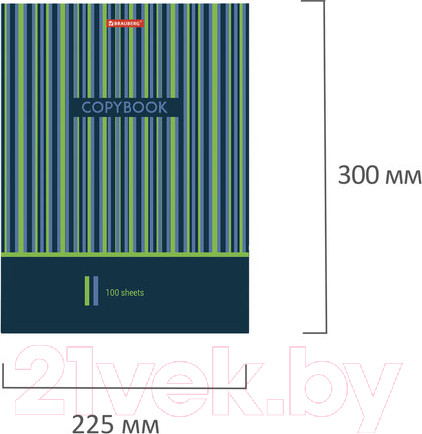 Изображение товара Тетрадь Brauberg Полосы / 403273 (100л)