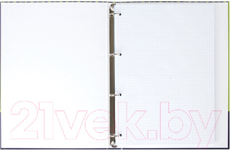 Изображение товара Тетрадь Brauberg Полосы / 403273 (100л)