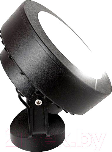 Изображение товара Светильник уличный Fumagalli Tommy 2M1.000.000.AXD1L