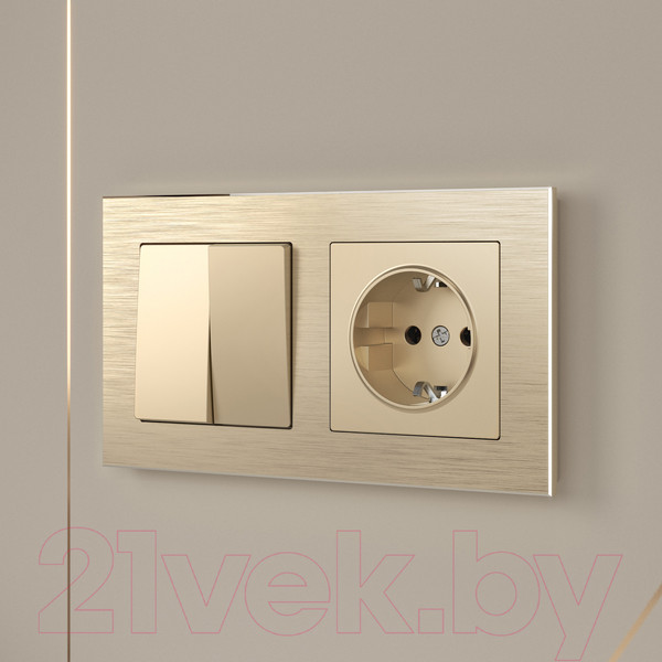Изображение товара Выключатель Werkel W1120011 / a050857 (шампань)