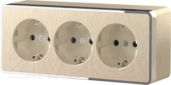 Изображение товара Розетка Werkel Gallant W5073110 / a052594 (шампань рифленый)