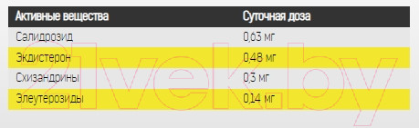 Изображение товара Жиросжигатель Binasport ПО-90 №90 (в капсулах)