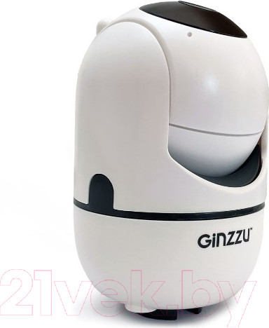 Изображение товара IP-камера Ginzzu HWD-2302A