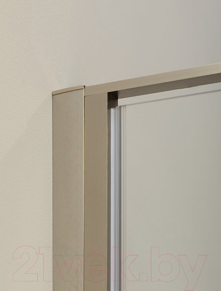 Изображение товара Душевая дверь Allen Brau Priority 3.31002.BA / 252373