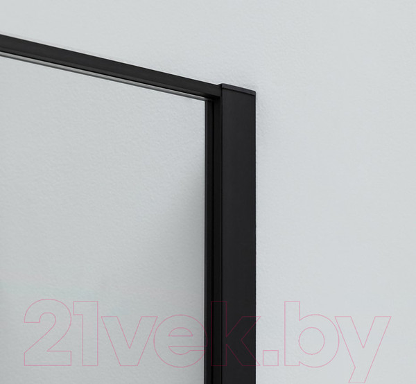 Изображение товара Душевая дверь Allen Brau Priority 3.31003.BBA / 252372