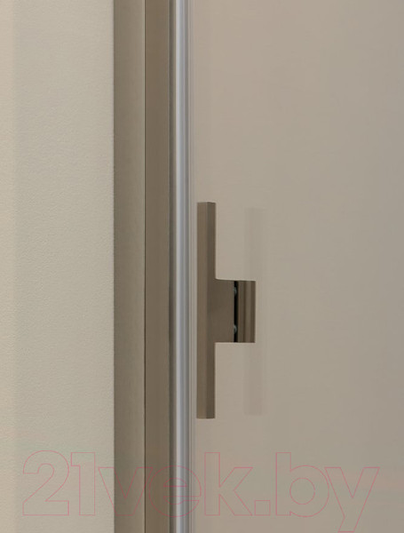 Изображение товара Душевая дверь Allen Brau Priority 3.31005.BA / 252370