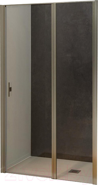 Изображение товара Душевая дверь Allen Brau Priority 3.31005.BA / 252370