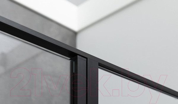 Изображение товара Душевая дверь Allen Brau Priority 3.31006.BBA / 252369