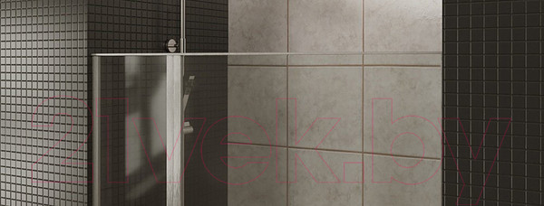 Изображение товара Душевая дверь Allen Brau Priority 3.31010.00 / 256518