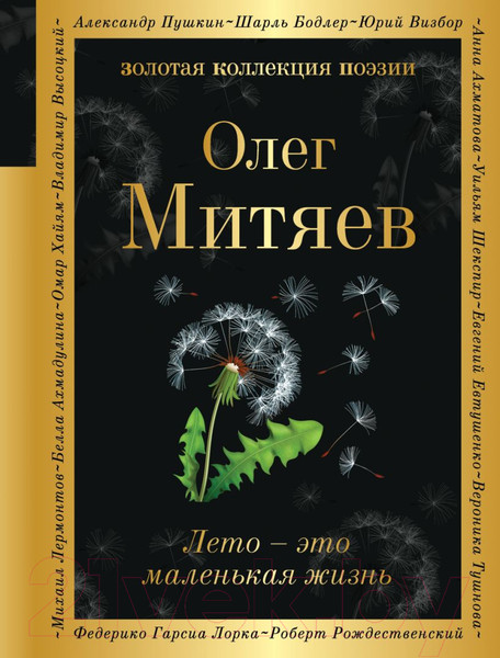 Изображение товара Книга Эксмо Лето - это маленькая жизнь (Митяев О.)