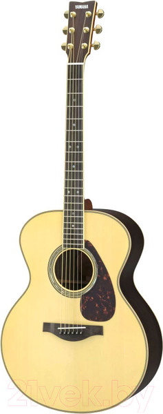 Изображение товара Акустическая гитара Yamaha LJ16 Are