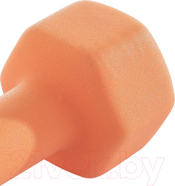 Изображение товара Гантель Starfit DB-201 (2кг, оранжевый пастель)