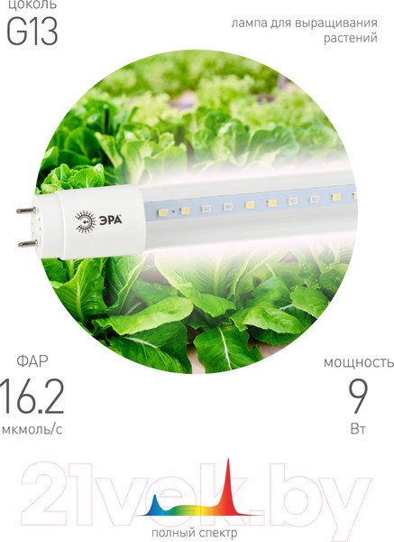 Изображение товара Светильник для растений ЭРА FITO-9W-Ra90-Т8-G13-NL / Б0042988