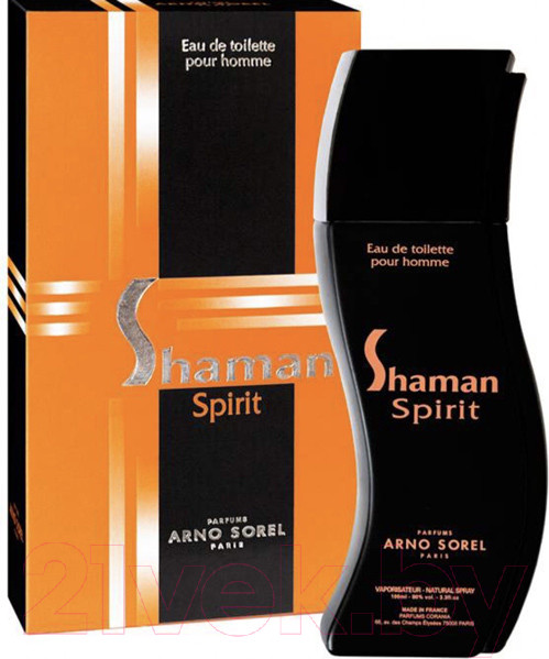 Изображение товара Туалетная вода Arno Sorel Shaman Spirit Man (100мл)
