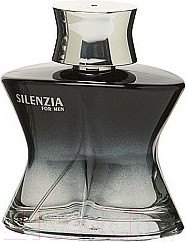 Изображение товара Туалетная вода Real Time Silenzia Men (100мл)
