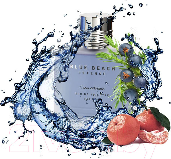 Изображение товара Туалетная вода Omerta Blue Beach Intense Men (100мл)