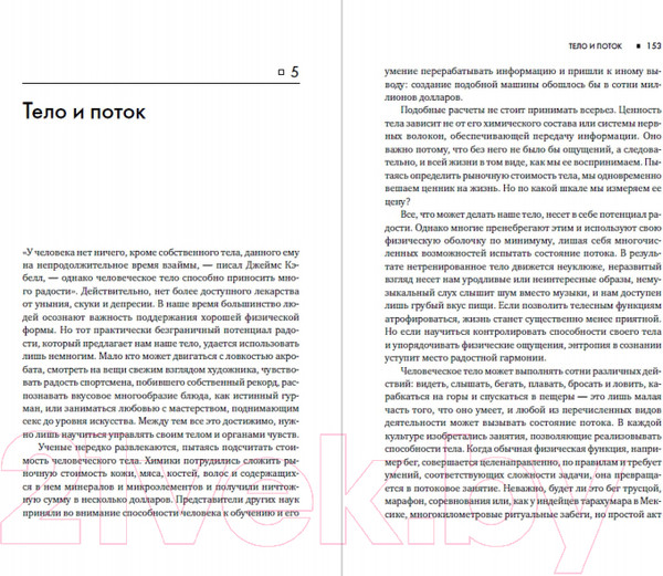 Изображение товара Книга Альпина Поток: Психология оптимального переживания (Чиксентмихайи М.)