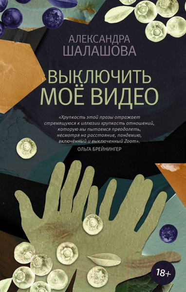 Художественная книга АСТ Выключить мое видео (Шалашова А. Е.) — фото 5