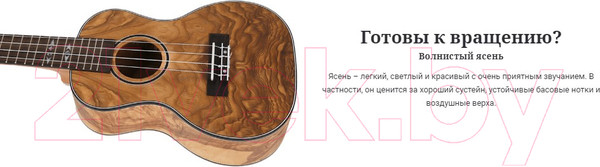 Изображение товара Укулеле Flight DUC410 QA