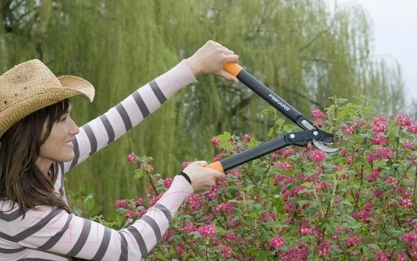 Изображение товара Сучкорез механический Fiskars 1002104
