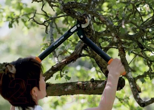 Изображение товара Сучкорез механический Fiskars 1002104