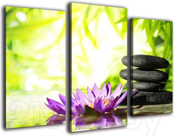 Изображение товара Картина модульная Arthata m-000669 (75x50)