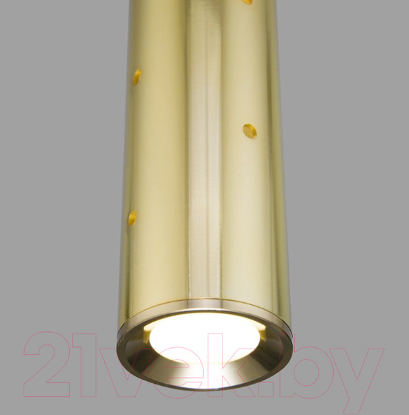 Изображение товара Потолочный светильник Elektrostandard 50214/1 LED (золото)