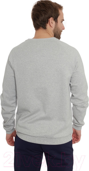 Изображение товара Свитшот FHM Wave TH 383 (5XL, светло-серый)