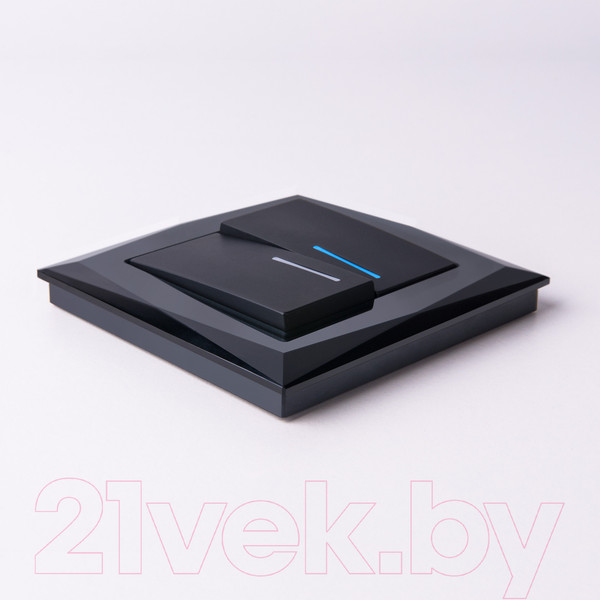 Изображение товара Выключатель Werkel W1122108 / a051598 (черный матовый)