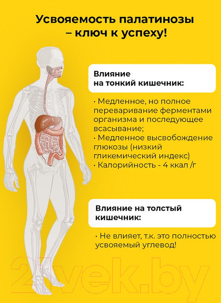 Изображение товара Гейнер Prime Kraft Mass Gainer (3кг банка, шоколад)