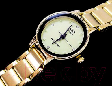 Изображение товара Часы наручные женские Q&Q Q211J010Y