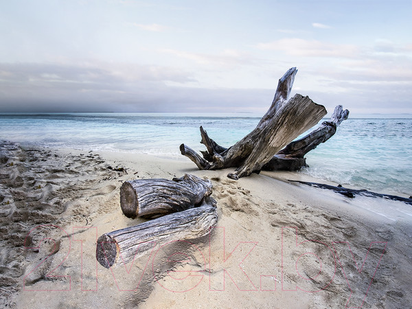 Изображение товара Картина Orlix Берег / CA-11969