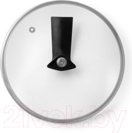 Изображение товара Крышка стеклянная Tefal Maestro 04198726