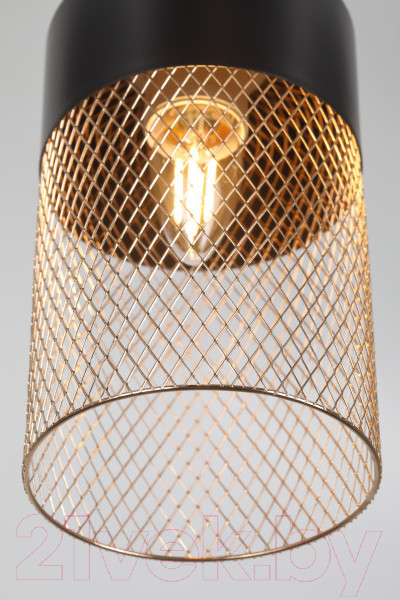 Изображение товара Потолочный светильник Rivoli Hulda 9068-201 / Б0047523