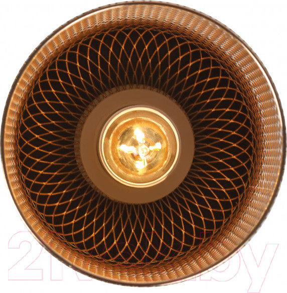 Изображение товара Потолочный светильник Rivoli Hulda 9068-201 / Б0047523