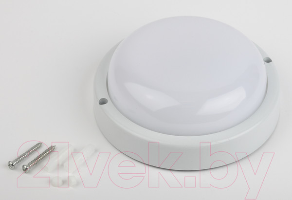 Изображение товара Светильник ЖКХ ЭРА SPB-201-0-65K-012 / Б0047620