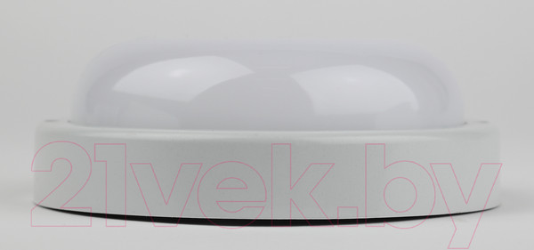 Изображение товара Светильник ЖКХ ЭРА SPB-201-0-65K-012 / Б0047620