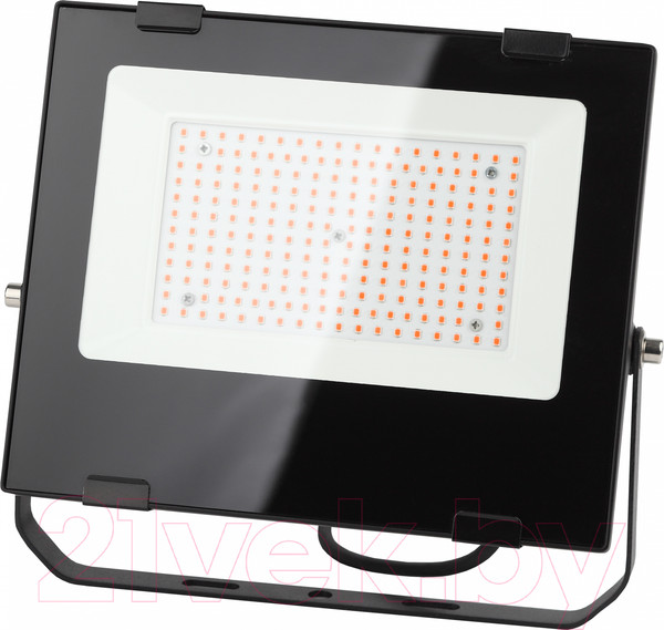 Изображение товара Прожектор ЭРА FITO-100W-RB-LED / Б0046369