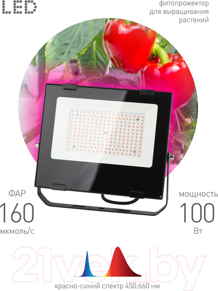 Изображение товара Прожектор ЭРА FITO-100W-RB-LED / Б0046369