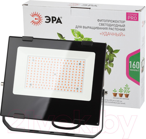 Изображение товара Прожектор ЭРА FITO-100W-RB-LED / Б0046369