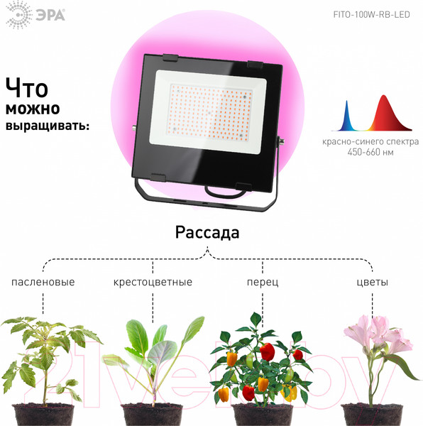 Изображение товара Прожектор ЭРА FITO-100W-RB-LED / Б0046369