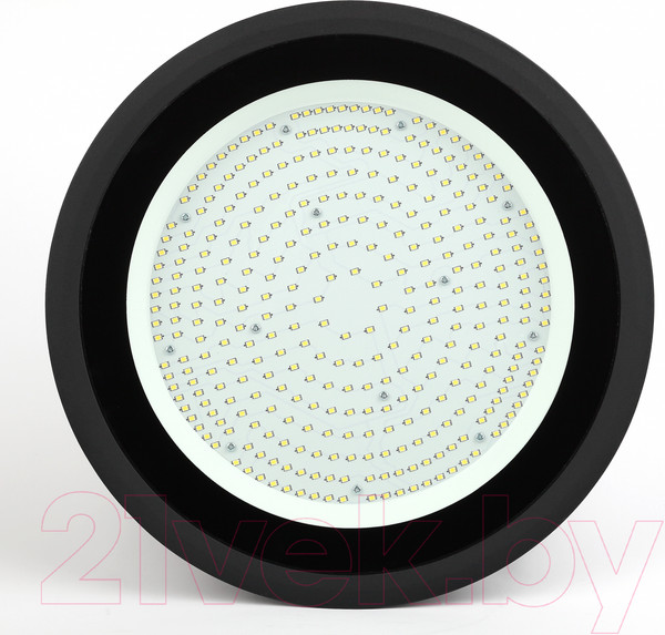 Изображение товара Светильник ЖКХ ЭРА SPP-402-0-50K-200 / Б0046670