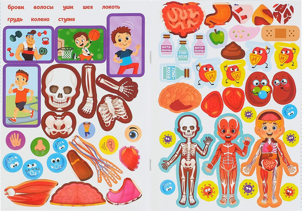 Изображение товара Развивающая книга Буква-ленд Как устроено мое тело. Наклейки / 4859820