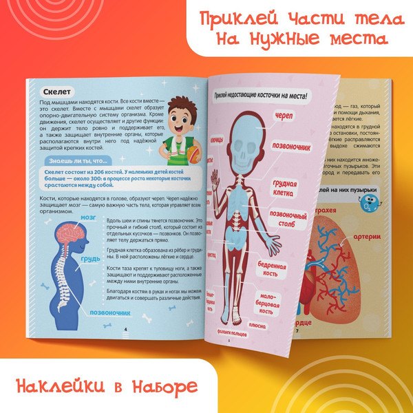 Изображение товара Развивающая книга Буква-ленд Как устроено мое тело. Наклейки / 4859820