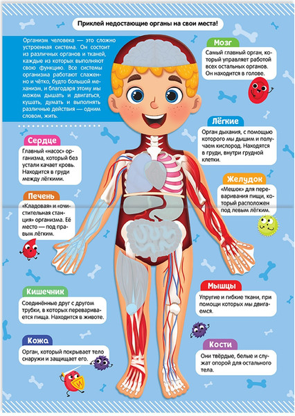 Изображение товара Развивающая книга Буква-ленд Как устроено мое тело. Наклейки / 4859820
