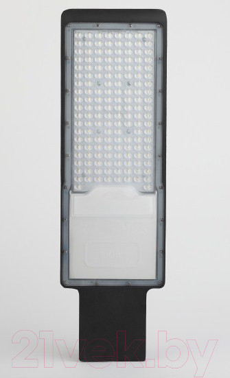 Изображение товара Светильник уличный ЭРА SPP-503-0-50K-120 / Б0047166