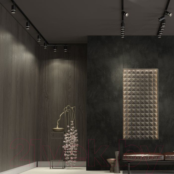 Изображение товара Трековый светильник Novotech Elina 370777 (черный)